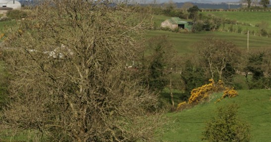 Rajd Irlandii
